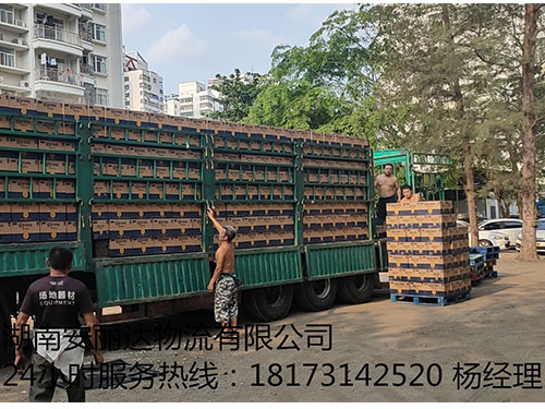 &#20122;&#23089;&#20307;&#32946;