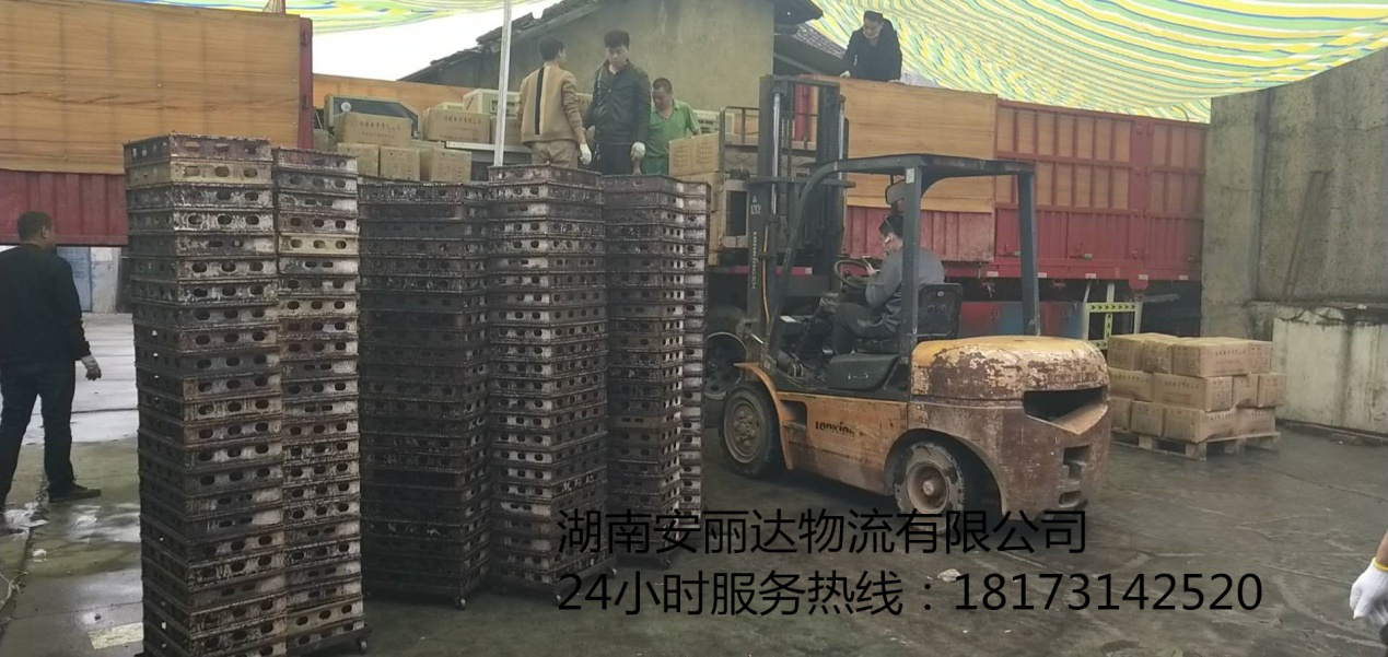 &#20122;&#23089;&#20307;&#32946;